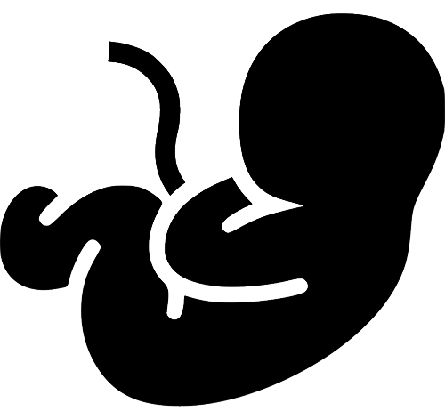 Pregnancy and childbirth