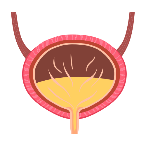 Kidney and urinary health