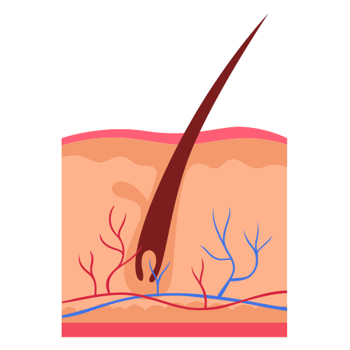 Skin Health and Genetic Diseases
