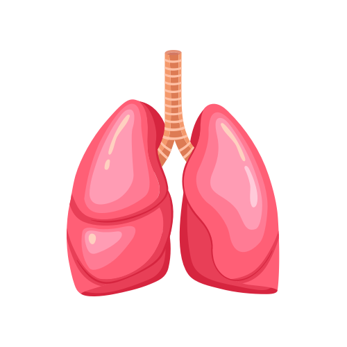 Respiratory health and allergies
