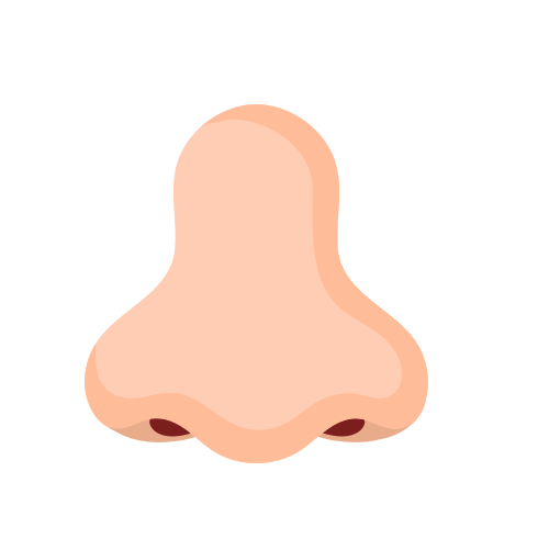 Ear, nose and throat health