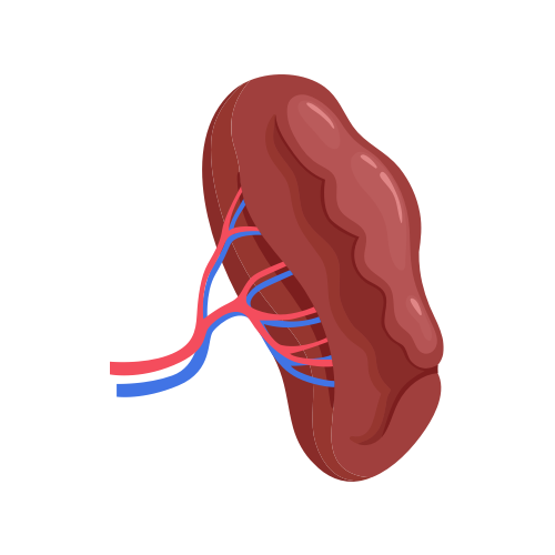 Nervous system health